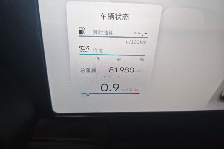 Used Geely Auto Monjaro L 2021 2.0TD DCT EVO Two-Wheel Drive Prestige Version Odometer Close Up
