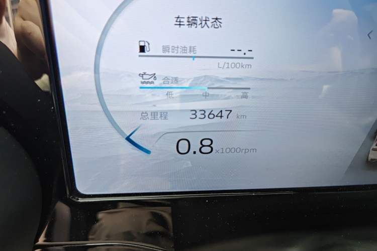 Used Geely Auto Monjaro L 2021 2.0TD DCT EVO Two-Wheel Drive Prestige Version Odometer Close Up