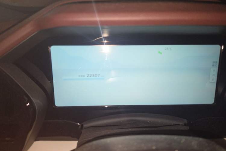 Used Geely Auto Monjaro L 2021 2.0TD DCT EVO Two-Wheel Drive Smart Luxury Version Odometer Close Up
