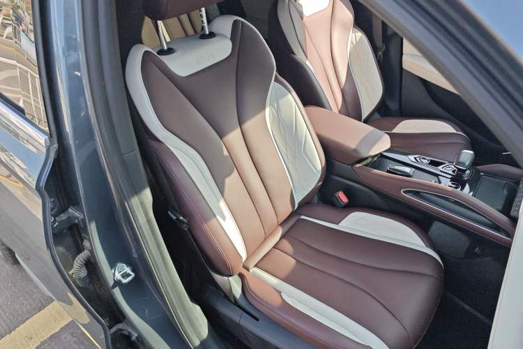 Used Geely Auto Monjaro L 2021 2.0TD DCT EVO Two-Wheel Drive Smart Luxury Version Right Front Seat