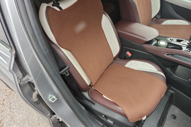 Used Geely Auto Monjaro L 2021 2.0TD DCT EVO Two-Wheel-Drive Flagship Version Right Front Seat