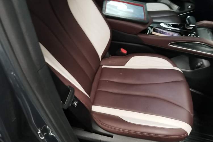 Used Geely Auto Monjaro L 2021 2.0TD DCT EVO Two-Wheel Drive Smart Luxury Version Right Front Seat