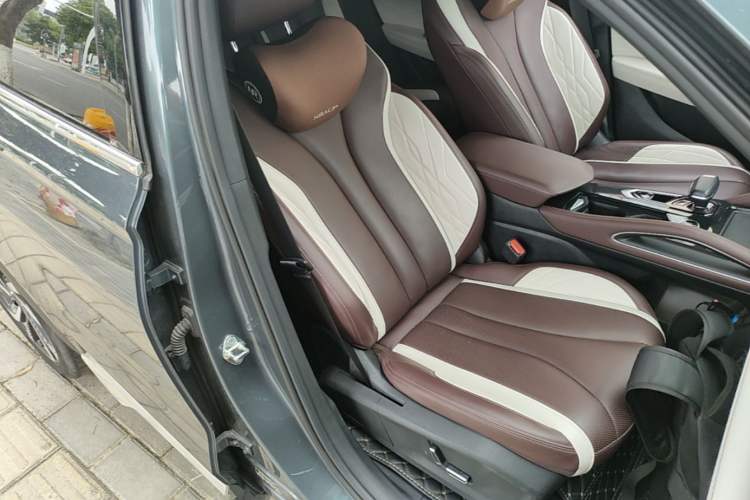 Used Geely Auto Monjaro L 2021 2.0TD DCT EVO Two-Wheel Drive Smart Luxury Version Right Front Seat