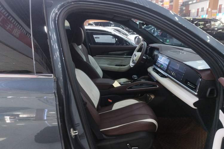 Used Geely Auto Monjaro L 2021 2.0TD DCT EVO Two-Wheel Drive Smart Luxury Version Right Front Seat