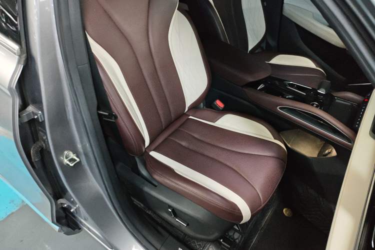 Used Geely Auto Monjaro L 2021 2.0TD DCT EVO Two-Wheel Drive Smart Luxury Version Right Front Seat