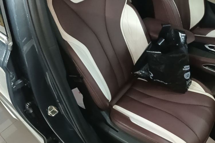 Used Geely Auto Monjaro L 2021 2.0TD DCT EVO Two-Wheel Drive Prestige Version Right Front Seat