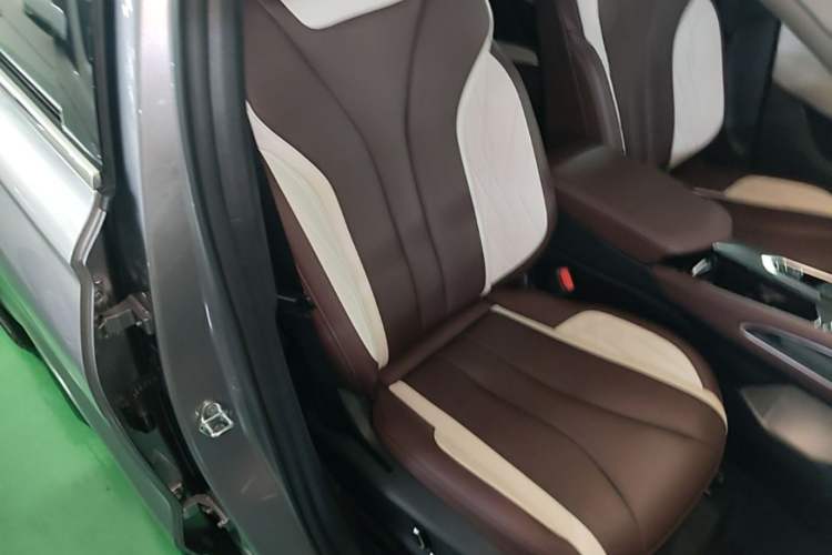 Used Geely Auto Monjaro L 2021 2.0TD DCT EVO Two-Wheel Drive Prestige Version Right Front Seat