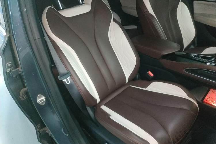 Used Geely Auto Monjaro L 2021 2.0TD DCT EVO Two-Wheel Drive Smart Luxury Version Right Front Seat