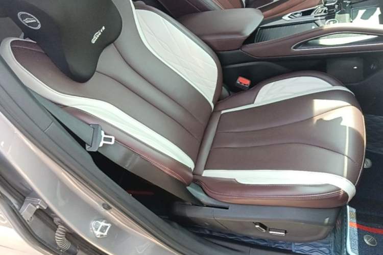 Used Geely Auto Monjaro L 2021 2.0TD DCT EVO Two-Wheel Drive Prestige Version Right Front Seat