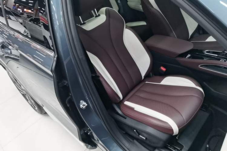 Used Geely Auto Monjaro L 2021 2.0TD DCT EVO Two-Wheel Drive Smart Luxury Version Right Front Seat
