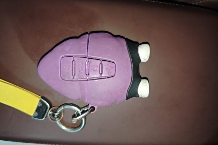 Used Geely Auto Monjaro L 2021 2.0TD DCT EVO Two-Wheel-Drive Flagship Version Vehicle Key