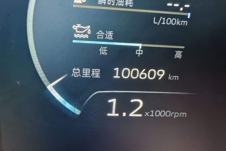 Used Geely Auto Monjaro L 2021 2.0TD DCT EVO Two-Wheel Drive Prestige Version Odometer Close Up
