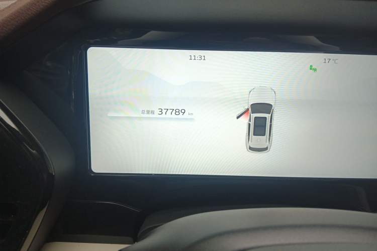 Used Geely Auto Monjaro L 2021 2.0TD High-Power Automatic All-Wheel-Drive Flagship Version Odometer Close Up