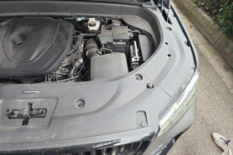Used Geely Auto Monjaro L 2021 2.0TD DCT EVO Two-Wheel Drive Prestige Version Engine Bay Left