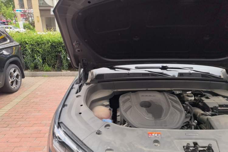 Used Geely Auto Monjaro L 2021 2.0TD High-Power Automatic All-Wheel-Drive Flagship Version Engine Bay Right