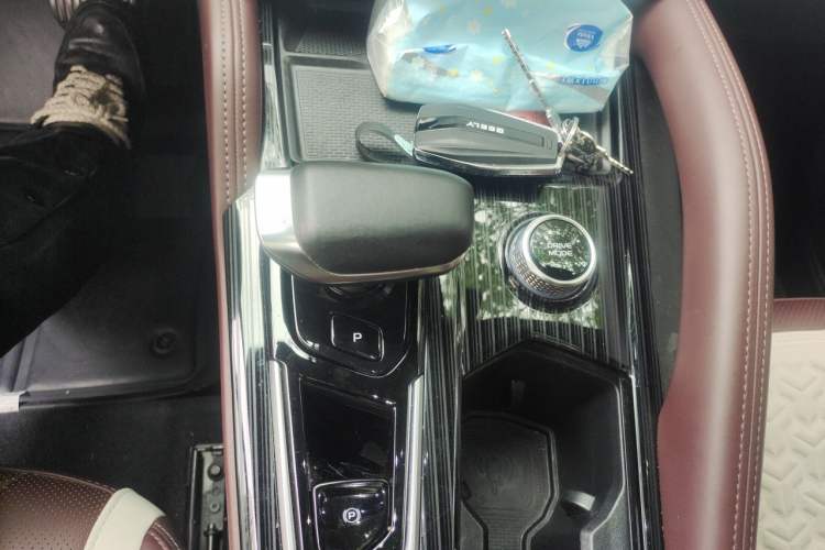 Used Geely Auto Monjaro L 2021 2.0TD High-Power Automatic All-Wheel-Drive Flagship Version Gear Lever