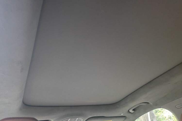 Used Geely Auto Monjaro L 2021 2.0TD DCT EVO Two-Wheel Drive Prestige Version Headliner