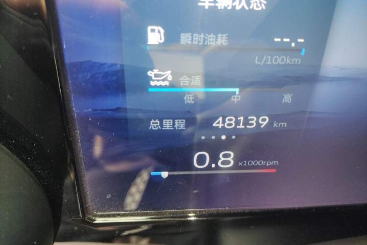 Used Geely Auto Monjaro L 2021 2.0TD High-Power Automatic All-Wheel-Drive Flagship Version Odometer Close Up
