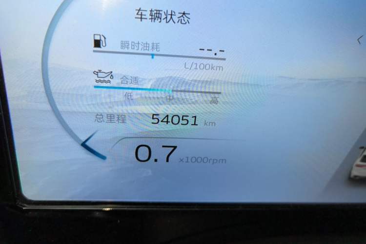 Used Geely Auto Monjaro L 2021 2.0TD High-Power Automatic All-Wheel-Drive Flagship Version Odometer Close Up
