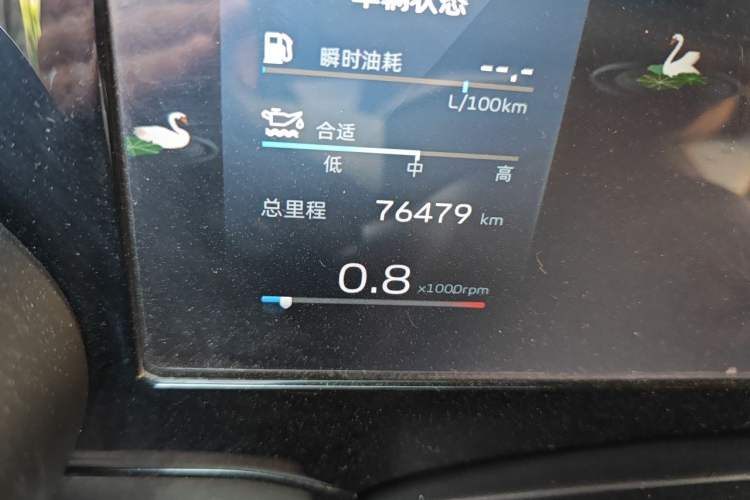 Used Geely Auto Monjaro L 2021 2.0TD DCT EVO Two-Wheel-Drive Flagship Version Odometer Close Up