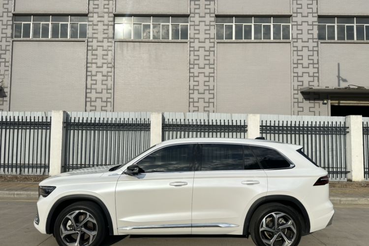 Used Geely Auto Monjaro L 2021 2.0TD High-Power Automatic All-Wheel Drive Luxury Version Exterior 4