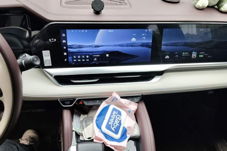 Used Geely Auto Monjaro L 2021 2.0TD DCT EVO Two-Wheel Drive Prestige Version Audio And AC Panel