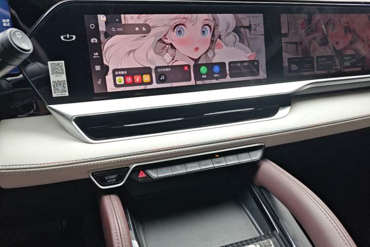 Used Geely Auto Monjaro L 2021 2.0TD DCT EVO Two-Wheel Drive Prestige Version Audio And AC Panel