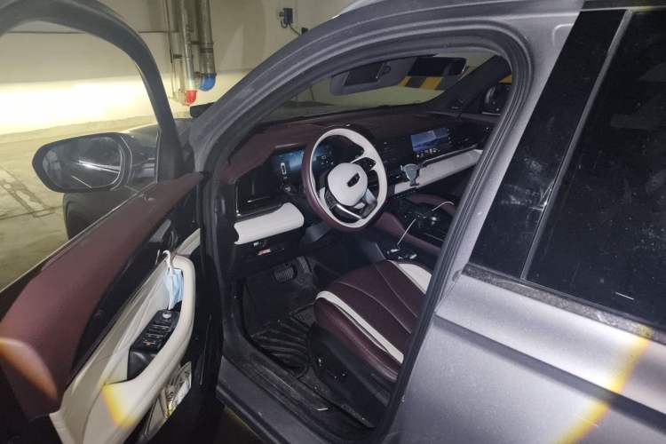 Used Geely Auto Monjaro L 2021 2.0TD High-Power Automatic All-Wheel-Drive Flagship Version Driver Seat