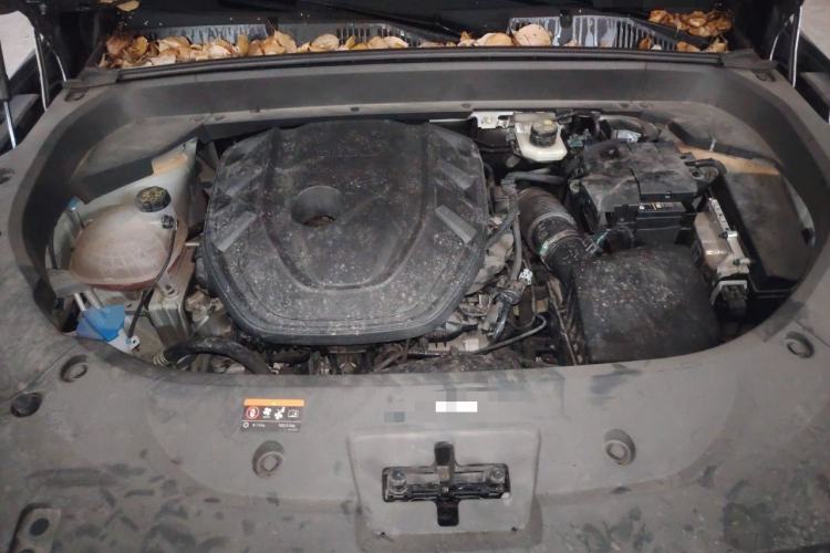 Used Geely Auto Monjaro L 2021 2.0TD DCT EVO Two-Wheel Drive Smart Luxury Version Engine Bay