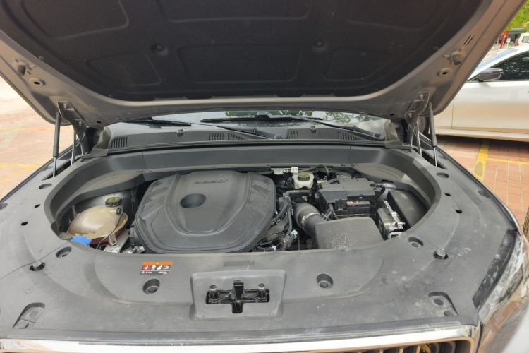 Used Geely Auto Monjaro L 2021 2.0TD DCT EVO Two-Wheel-Drive Flagship Version Engine Bay