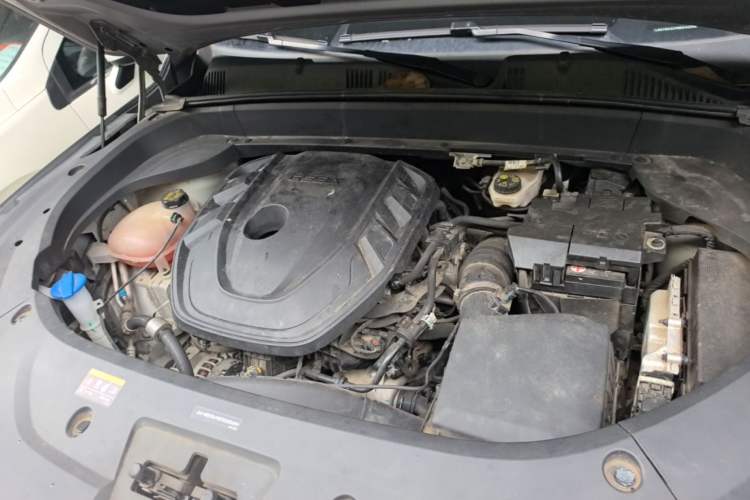 Used Geely Auto Monjaro L 2021 2.0TD DCT EVO Two-Wheel Drive Smart Luxury Version Engine Bay
