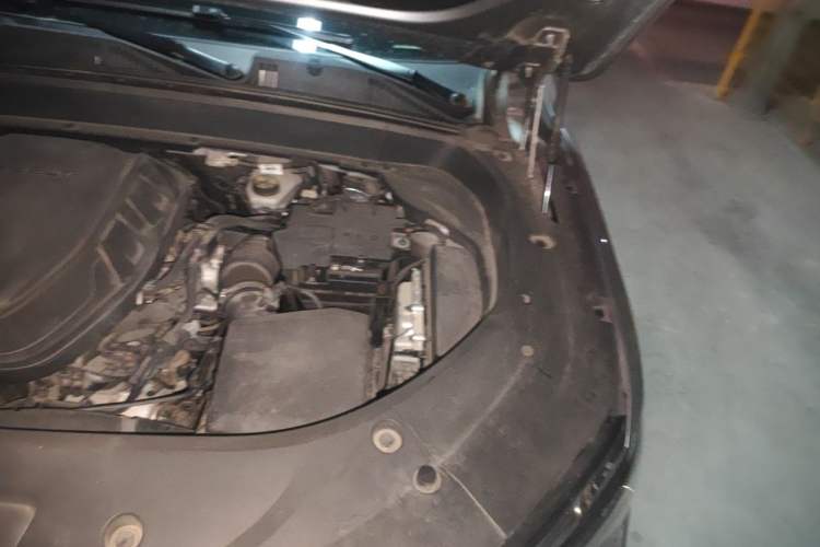 Used Geely Auto Monjaro L 2021 2.0TD DCT EVO Two-Wheel Drive Prestige Version Engine Bay Left