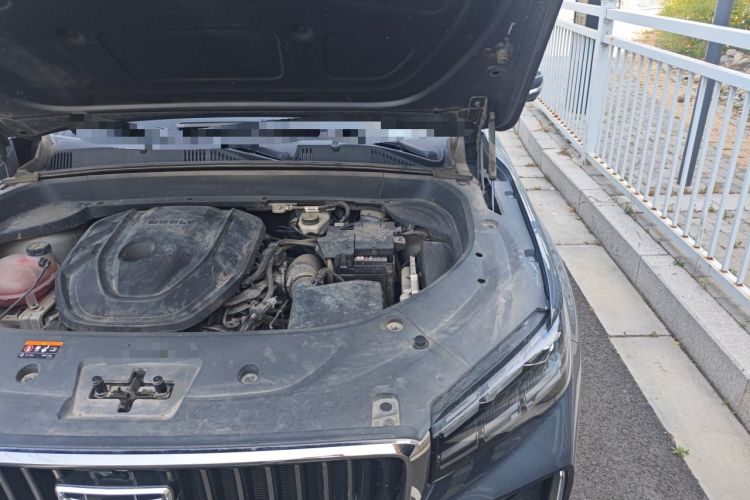 Used Geely Auto Monjaro L 2021 2.0TD DCT EVO Two-Wheel Drive Smart Luxury Version Engine Bay Left