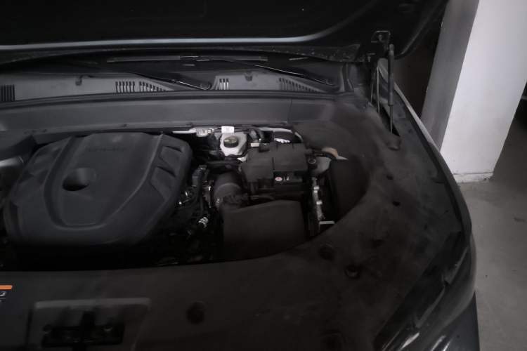 Used Geely Auto Monjaro L 2021 2.0TD High-Power Automatic All-Wheel-Drive Flagship Version Engine Bay Left