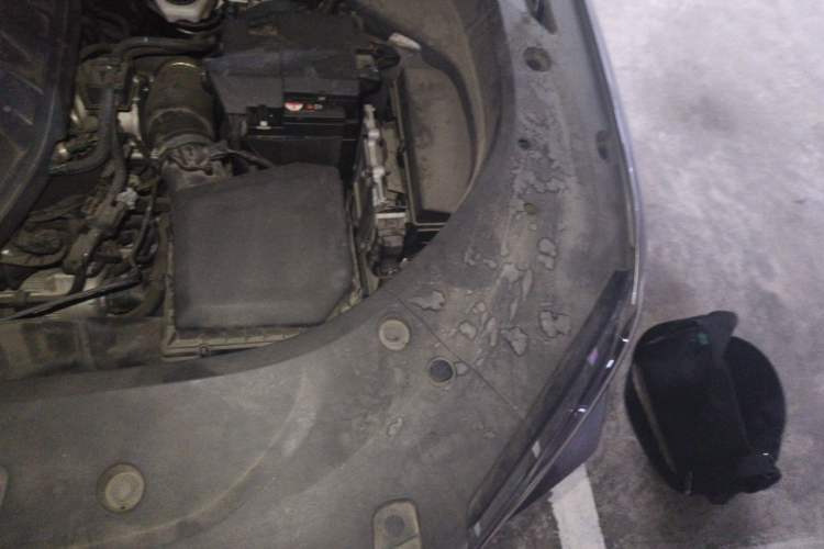 Used Geely Auto Monjaro L 2021 2.0TD High-Power Automatic All-Wheel-Drive Flagship Version Engine Bay Left