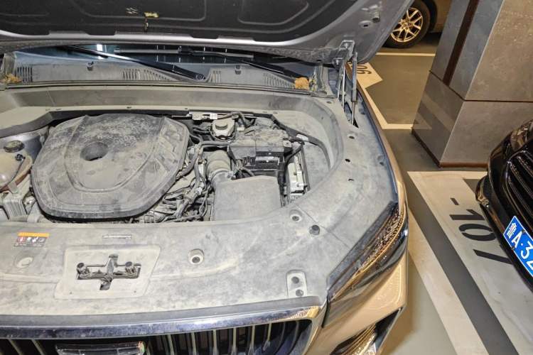 Used Geely Auto Monjaro L 2021 2.0TD DCT EVO Two-Wheel-Drive Flagship Version Engine Bay Left