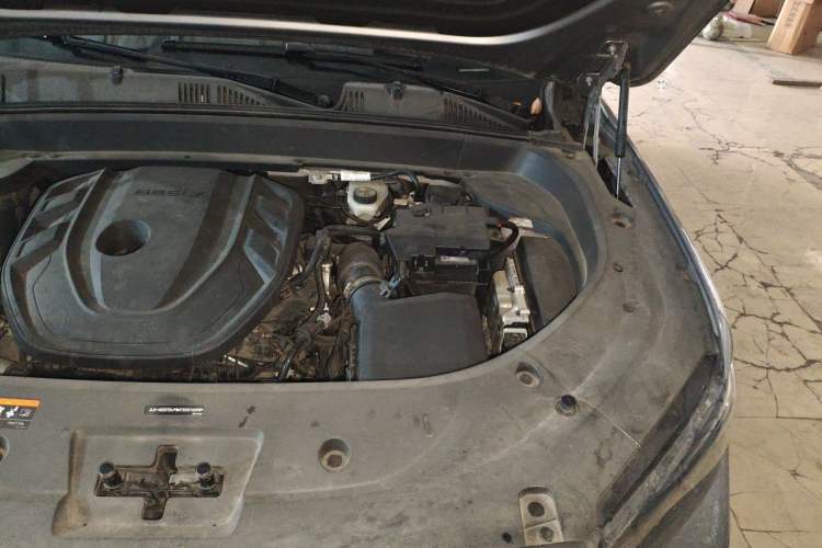 Used Geely Auto Monjaro L 2021 2.0TD DCT EVO Two-Wheel Drive Prestige Version Engine Bay Left