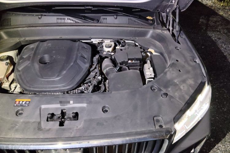 Used Geely Auto Monjaro L 2021 2.0TD DCT EVO Two-Wheel Drive Smart Luxury Version Engine Bay Left