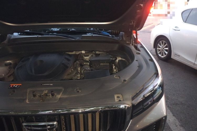 Used Geely Auto Monjaro L 2021 2.0TD High-Power Automatic All-Wheel Drive Luxury Version Engine Bay Left