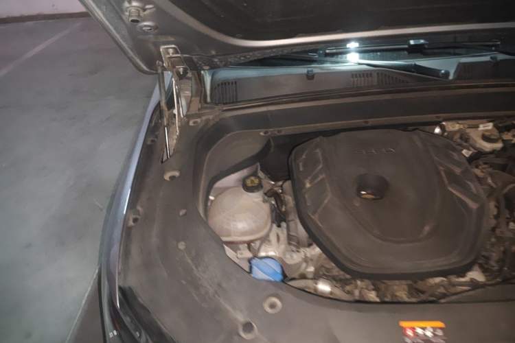 Used Geely Auto Monjaro L 2021 2.0TD DCT EVO Two-Wheel Drive Prestige Version Engine Bay Right