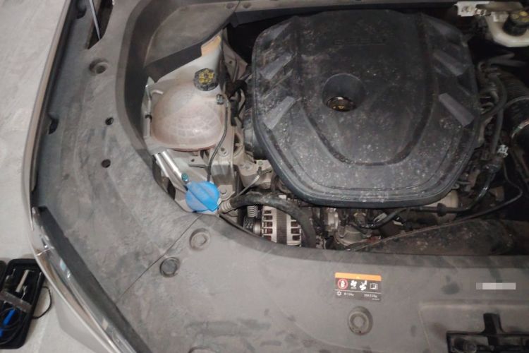 Used Geely Auto Monjaro L 2021 2.0TD DCT EVO Two-Wheel Drive Smart Luxury Version Engine Bay Right