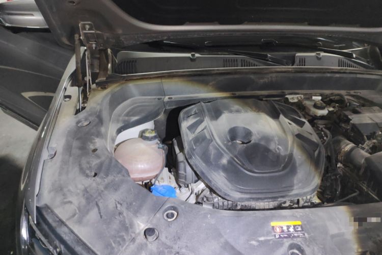 Used Geely Auto Monjaro L 2021 2.0TD DCT EVO Two-Wheel Drive Prestige Version Engine Bay Right