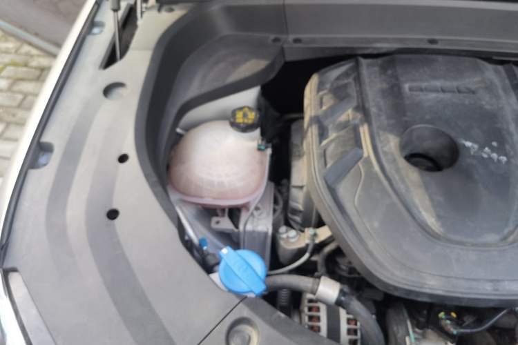 Used Geely Auto Monjaro L 2021 2.0TD High-Power Automatic All-Wheel Drive Luxury Version Engine Bay Right