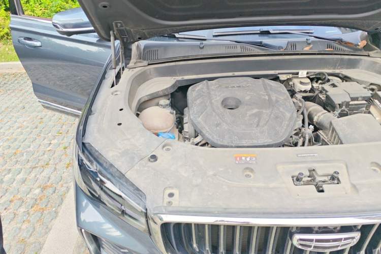 Used Geely Auto Monjaro L 2021 2.0TD DCT EVO Two-Wheel Drive Prestige Version Engine Bay Right