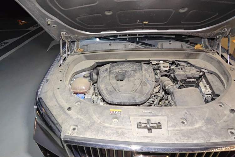 Used Geely Auto Monjaro L 2021 2.0TD DCT EVO Two-Wheel-Drive Flagship Version Engine Bay Right