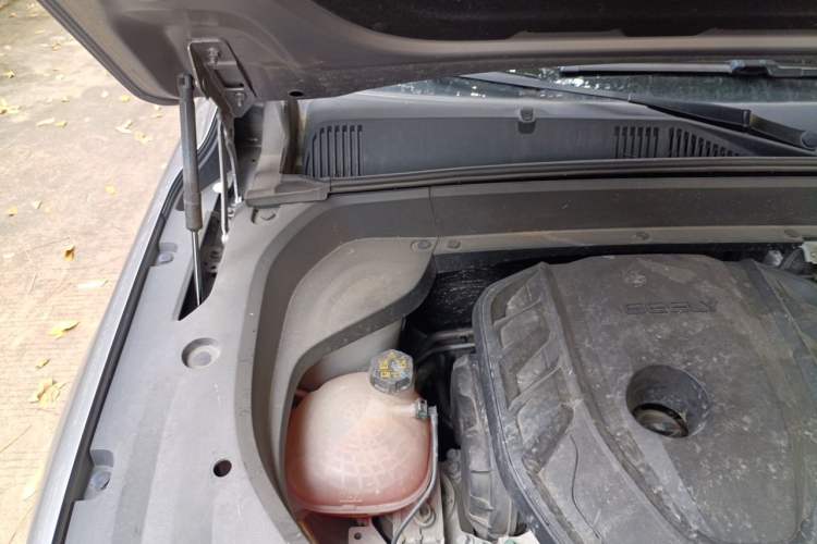 Used Geely Auto Monjaro L 2021 2.0TD DCT EVO Two-Wheel Drive Prestige Version Engine Bay Right