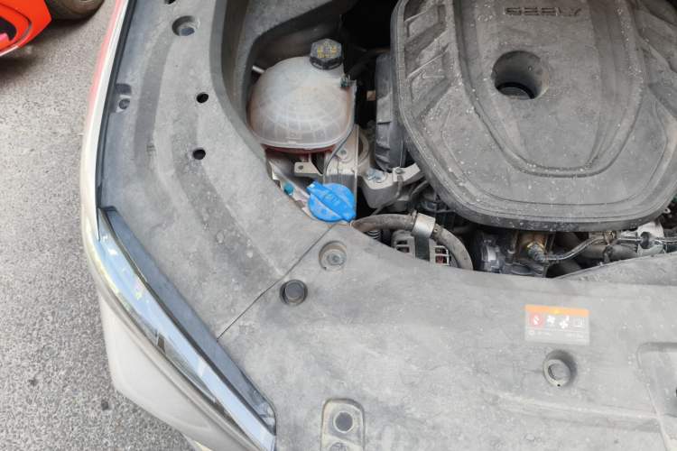Used Geely Auto Monjaro L 2021 2.0TD DCT EVO Two-Wheel Drive Prestige Version Engine Bay Right