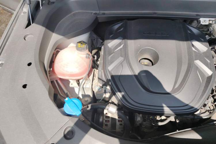 Used Geely Auto Monjaro L 2021 2.0TD DCT EVO Two-Wheel Drive Smart Luxury Version Engine Bay Right