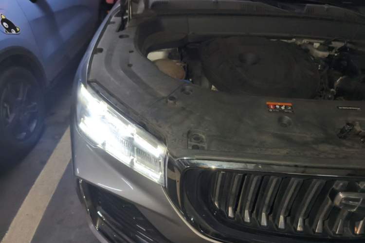 Used Geely Auto Monjaro L 2021 2.0TD DCT EVO Two-Wheel Drive Smart Luxury Version Engine Bay Right