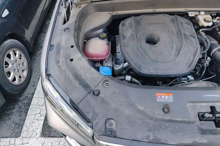 Used Geely Auto Monjaro L 2021 2.0TD High-Power Automatic All-Wheel-Drive Flagship Version Engine Bay Right